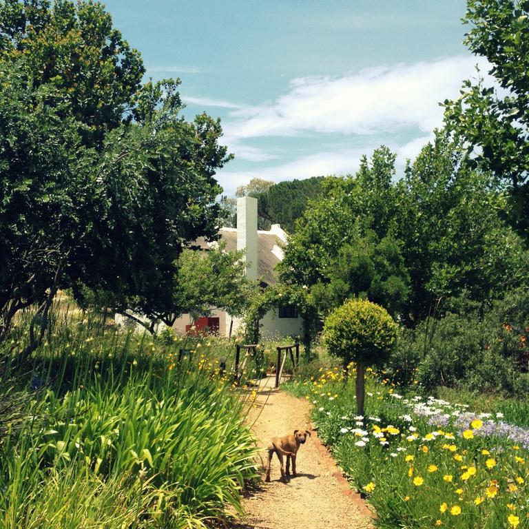 Mooi Bly Villa Paarl Bilik gambar