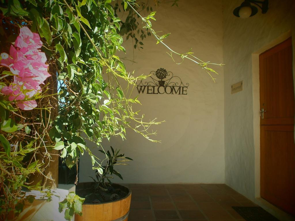 Mooi Bly Villa Paarl Luaran gambar