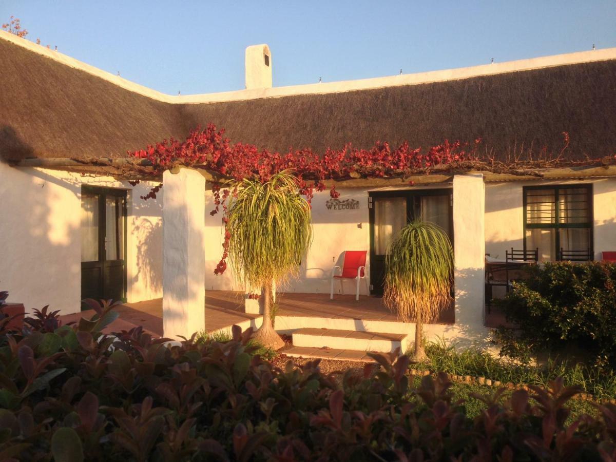 Mooi Bly Villa Paarl Luaran gambar