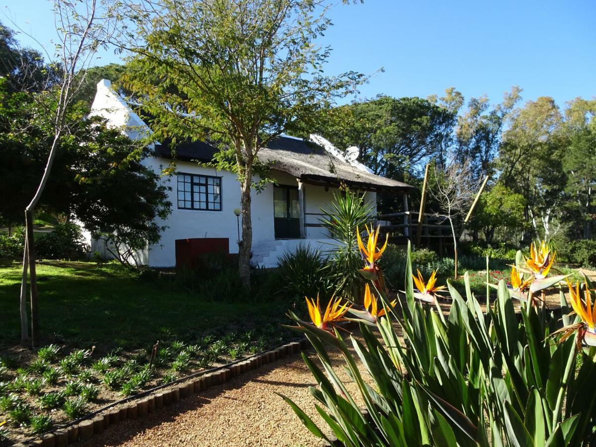 Mooi Bly Villa Paarl Luaran gambar